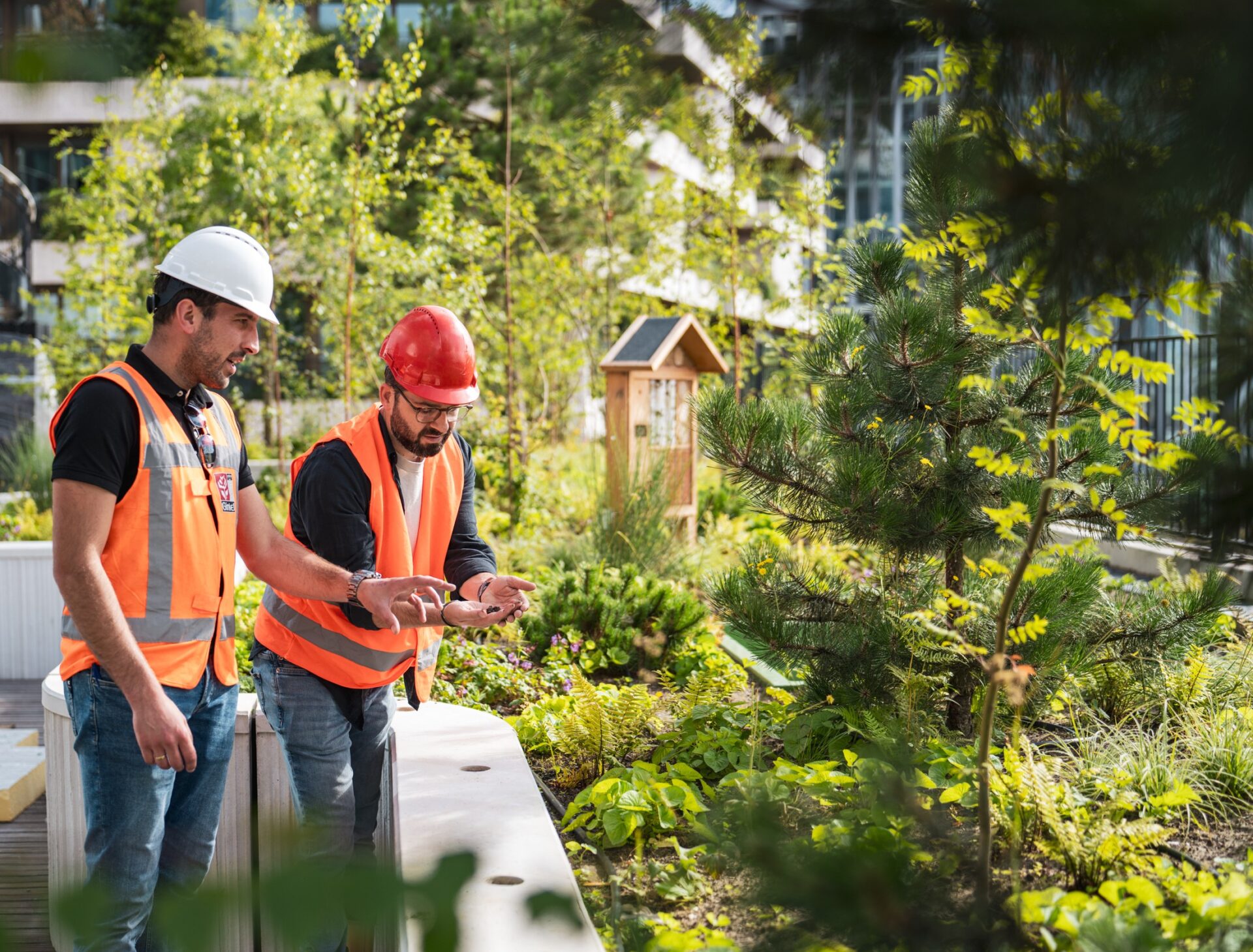 Twee collega's met helm en veiligheidshesje aan het werk in de groene daktuin van Wonderwoods