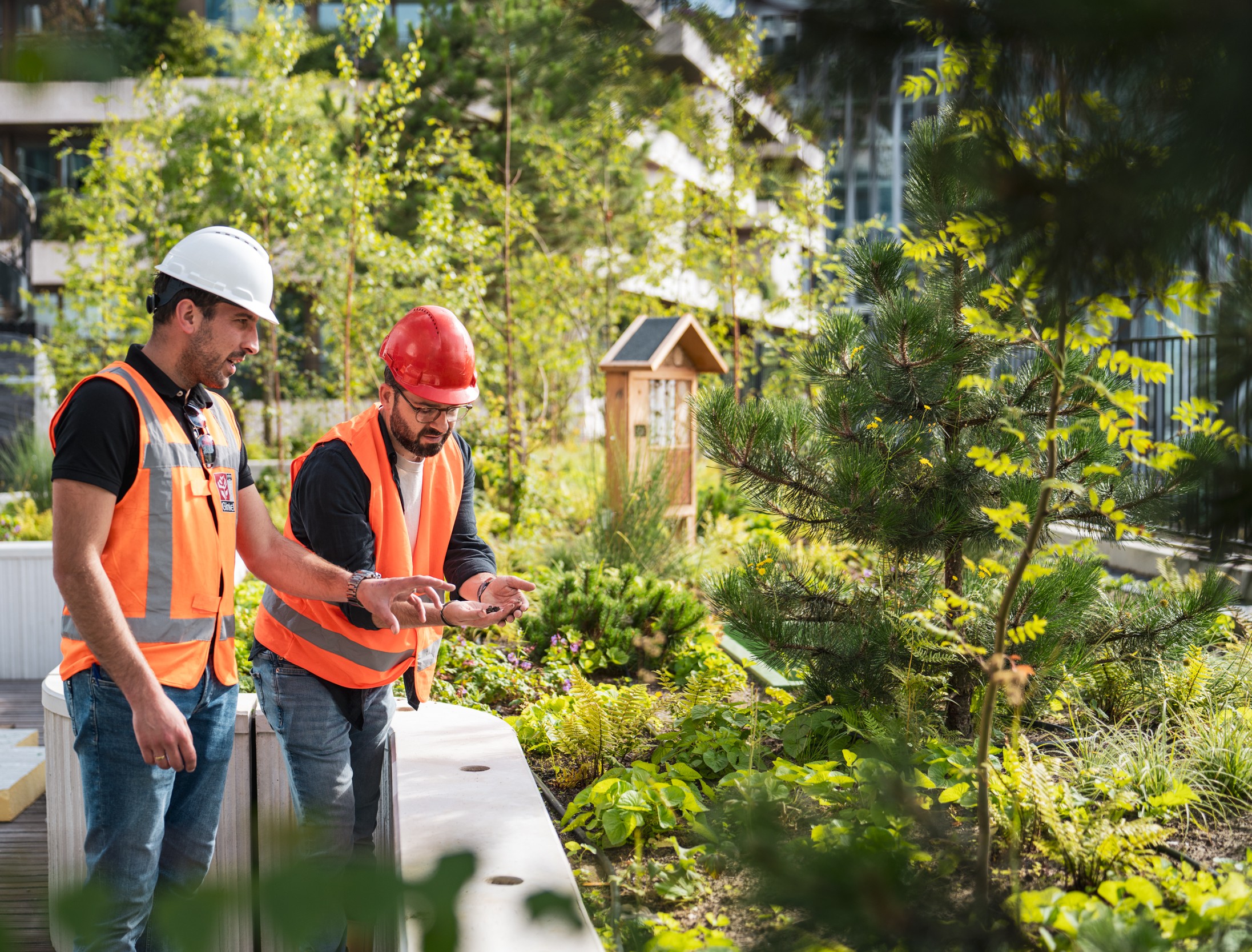 Twee collega's met helm en veiligheidshesje aan het werk in de groene daktuin van Wonderwoods